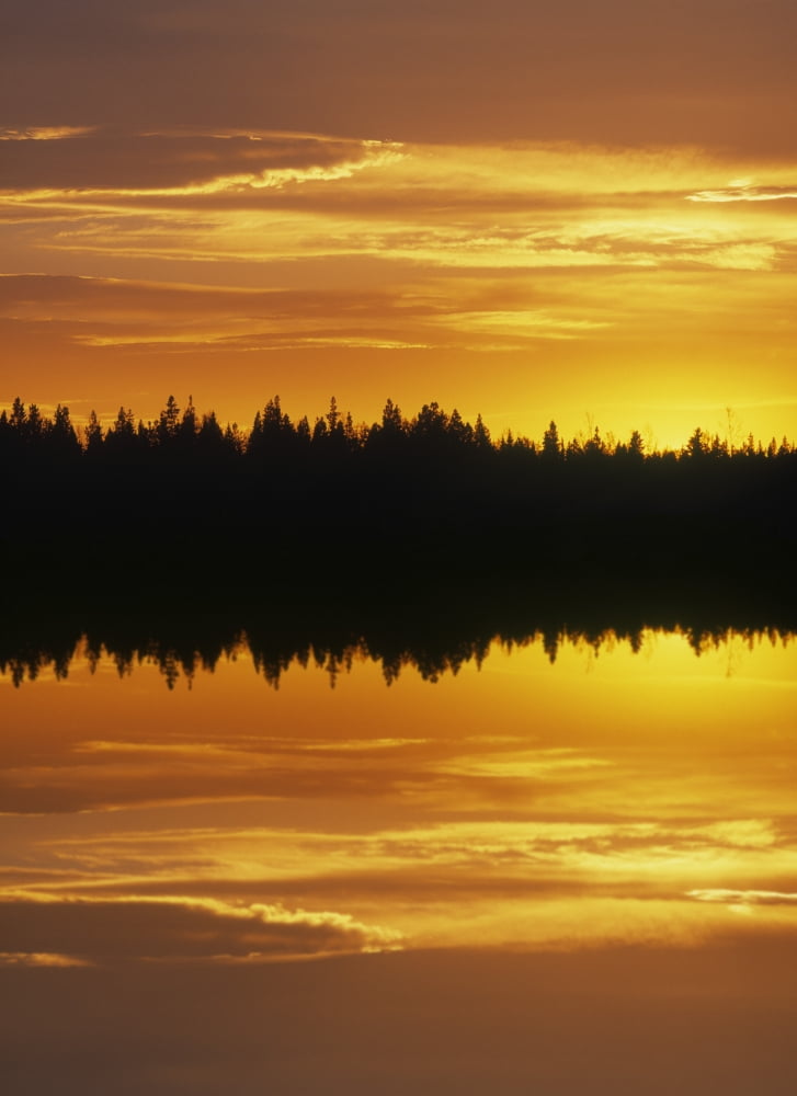 Sunset Over Boreal Forest Medicine Lake Alberta Canada Canvas Art - Darwin Wiggett Design Pics (11 x 16)