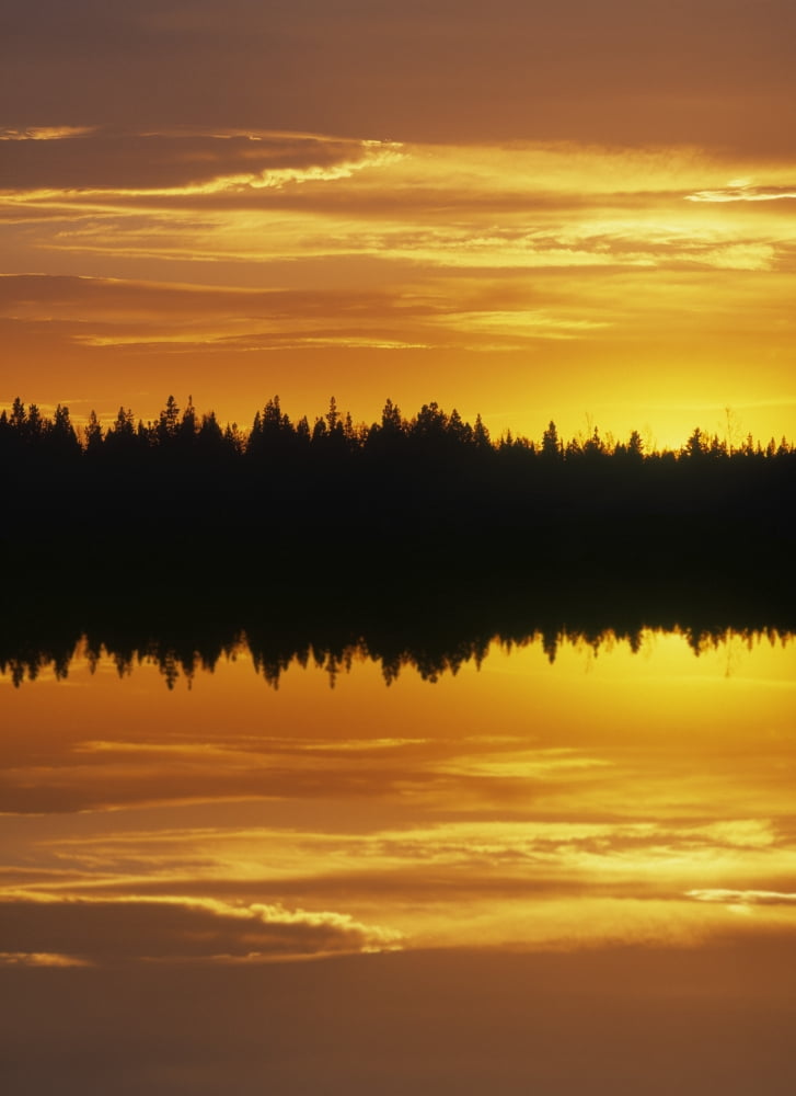Sunset Over Boreal Forest Medicine Lake Alberta Canada Canvas Art - Darwin Wiggett Design Pics (22 x 32)