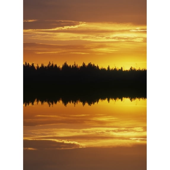 Sunset Over Boreal Forest, Medicine Lake, Alberta, Canada Poster Print (11 x 16)