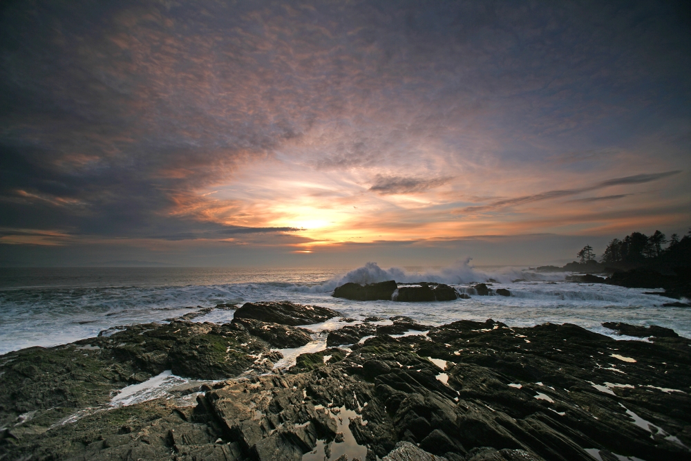 Sunset Over Botany Bay British Columbia Canvas Art - Robert Postma Design Pics (36 x 24)