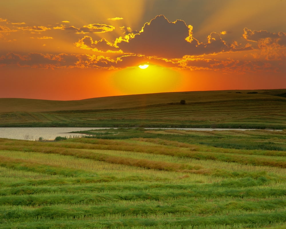 Sunset Over Harvested Canola Field Saint Denis Saskatchewan Canvas Art - Yves Marcoux Design Pics (18 x 14)