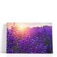 thumbnail image 1 of Sunset Over Lavender Field - Wrapped Canvas Print Wall Art | 36" W x 24" H, 1 of 4
