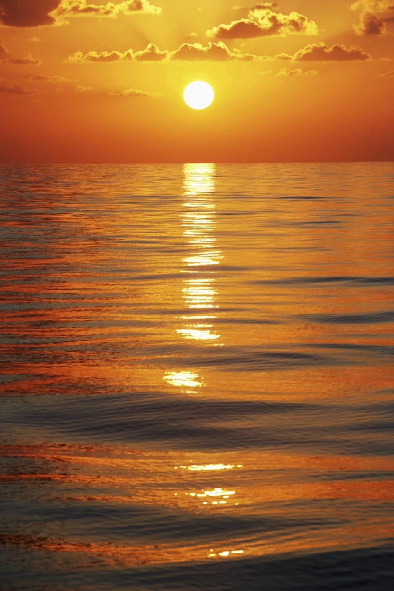 Sunset Over Ocean Horizon Canvas Art - Toby Adamson Design Pics (12 x 19)