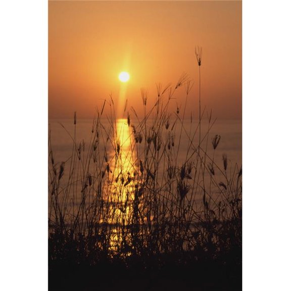 Sunset Over Pacific Poster Print - 12 x 18