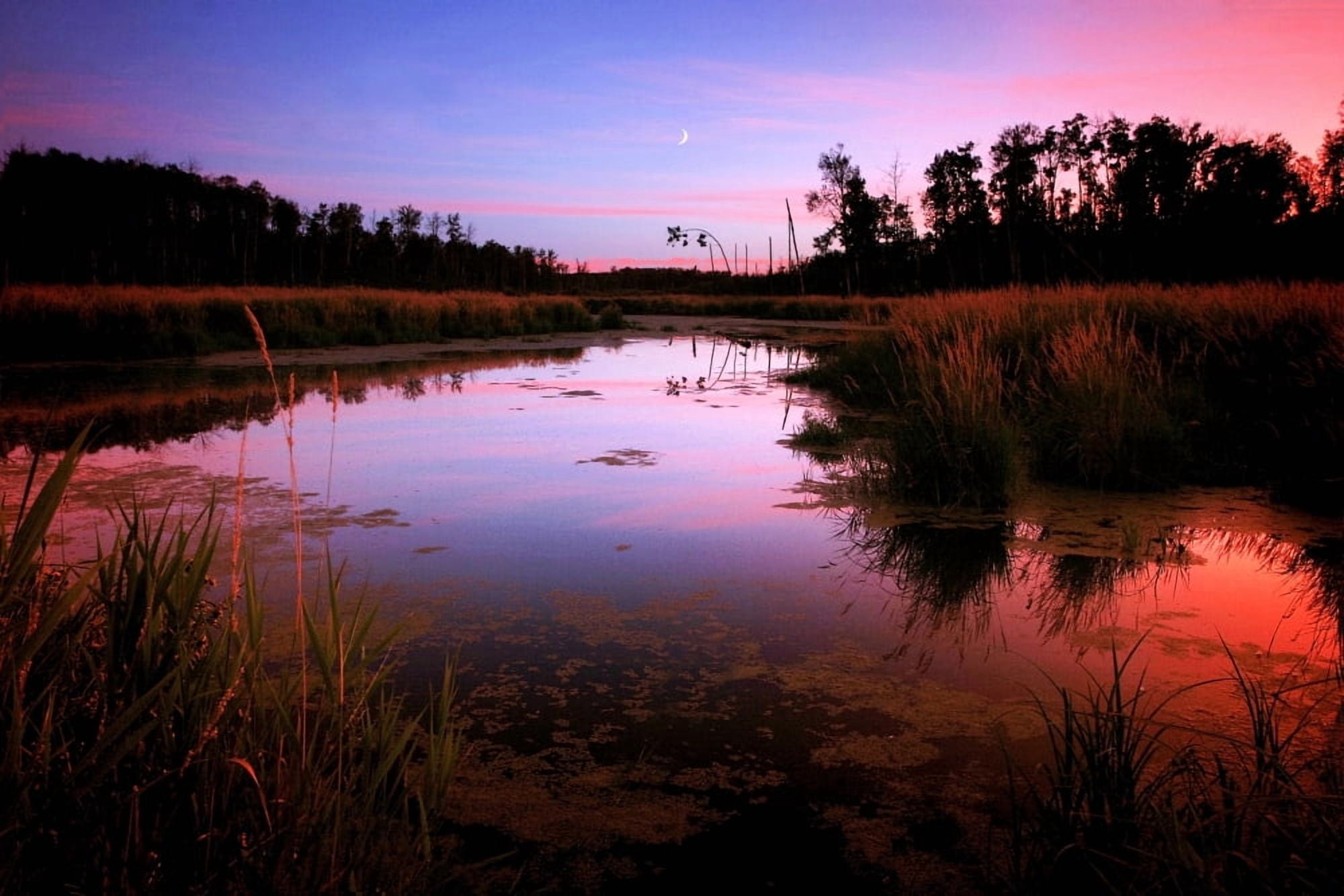 Sunset Over River Canvas Art - Richard Wear Design Pics (17 x 11)