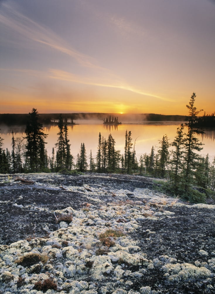 Sunset Over Subarctic Lake Ingraham Trail Area Northwest Territories Canada Canvas Art - Darwin Wiggett Design Pics (11 x 16)