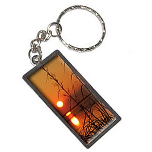 Sunset Over Wetland Keychain Key Chain Ring