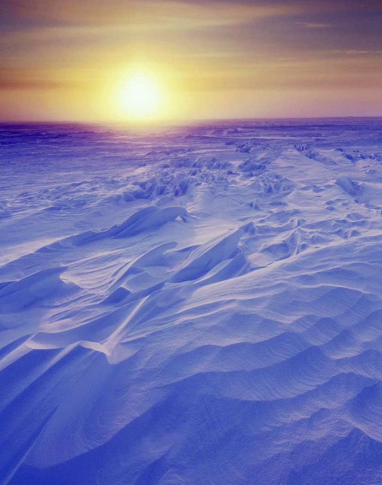 Sunset Over Wind-Carved Snow Drifts North Slope Arctic Ak Canvas Art - Gary Schultz  Design Pics (24 x 30)