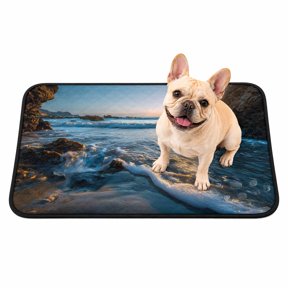 Sunset Reef Washable Pee Pads for Dogs, Seaside Reef Ocean Waves Shiny Sunset Reusable Puppy Pads Waterproof Pet Mat, Absorbent Dog Pee Pads for Crate Pet Training Whelping Playpen Mats 24"x18"