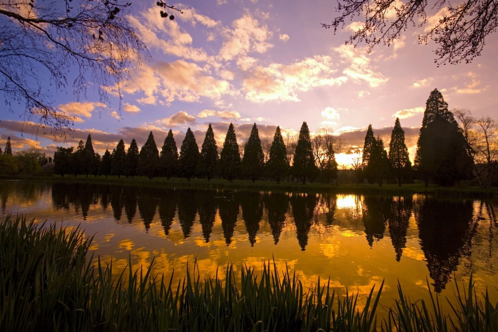 Sunset Reflection In A Park Pond Portland Oregon Canvas Art - Craig Tuttle Design Pics (34 x 22)