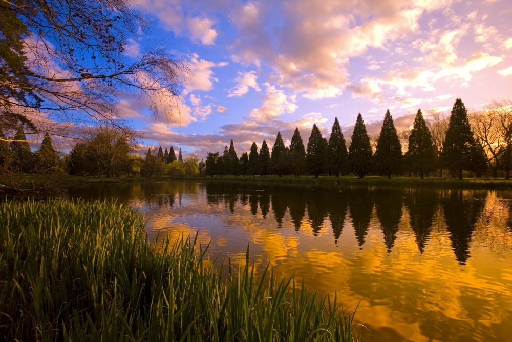 Sunset Reflection On A Pond Portland Oregon Canvas Art - Craig Tuttle Design Pics (17 x 11)