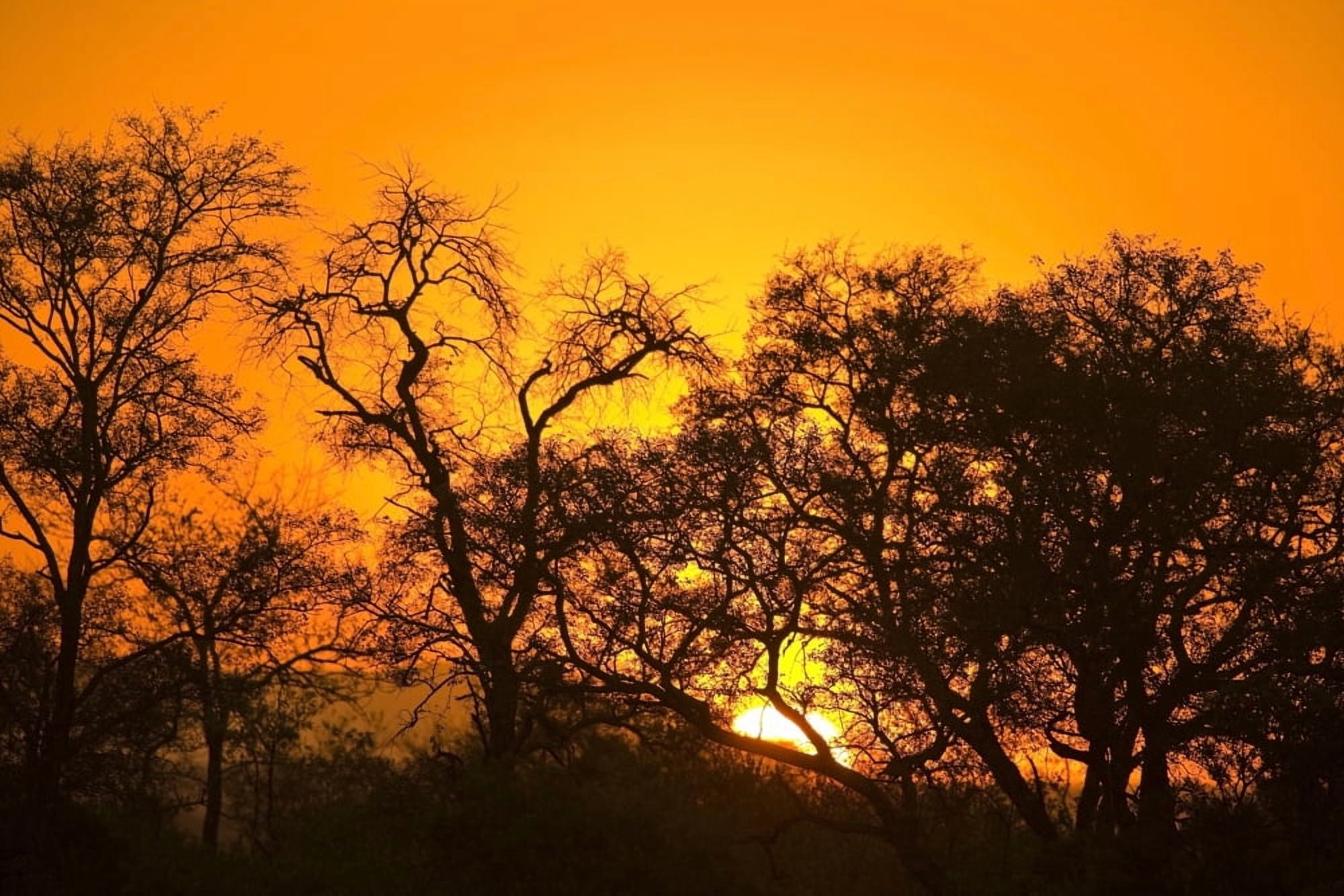 Sunset Sabi Sand Reserve Mpumalanga South Africa Africa Canvas Art - Stuart Westmorland Design Pics (18 x 12)