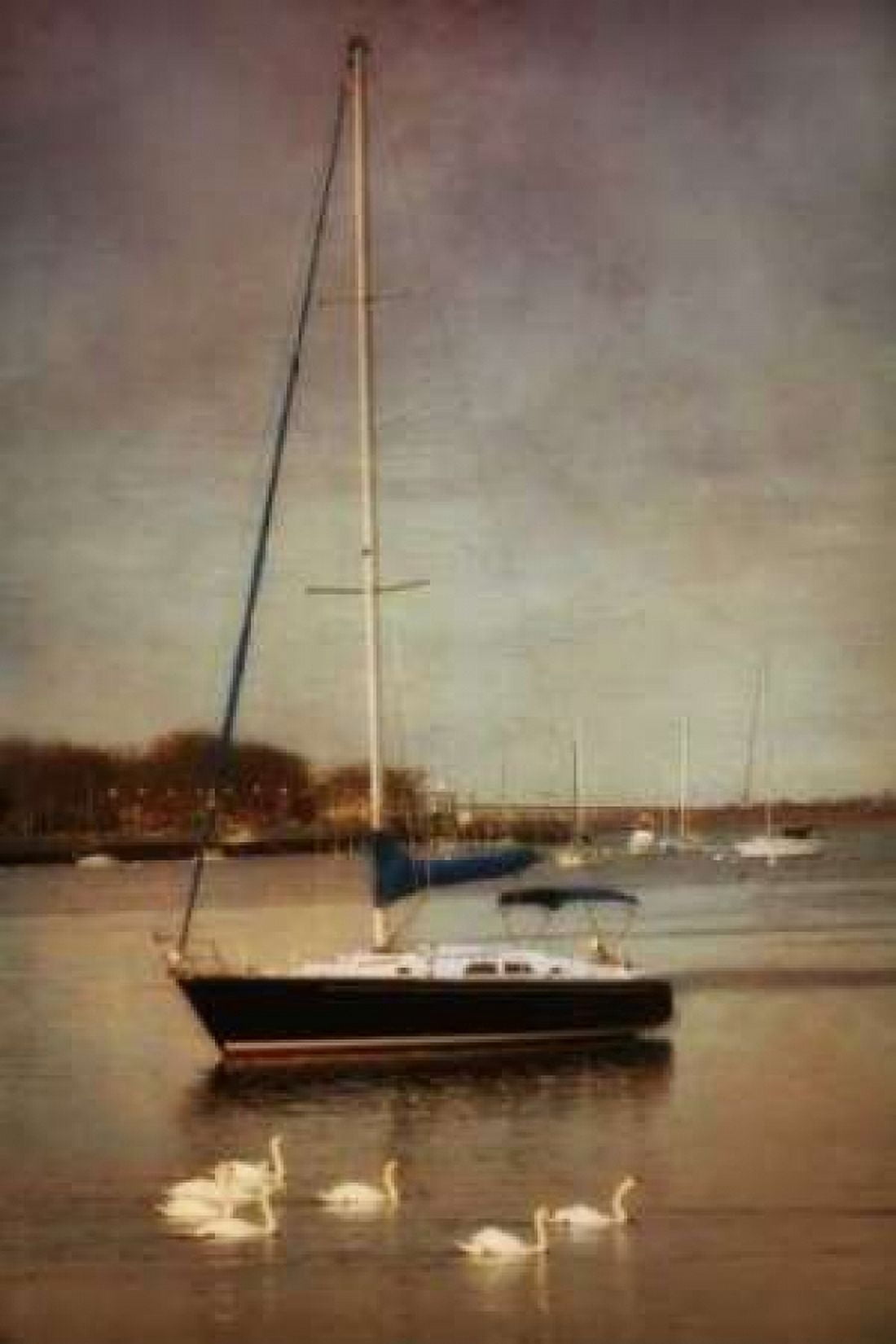 Sunset Sailing II Canvas Art - Geyman Vitaly (12 x 18)
