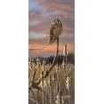 thumbnail image 1 of Sunset Shortie Poster Print - Wilhelm Goebel (15 x 36), 1 of 1