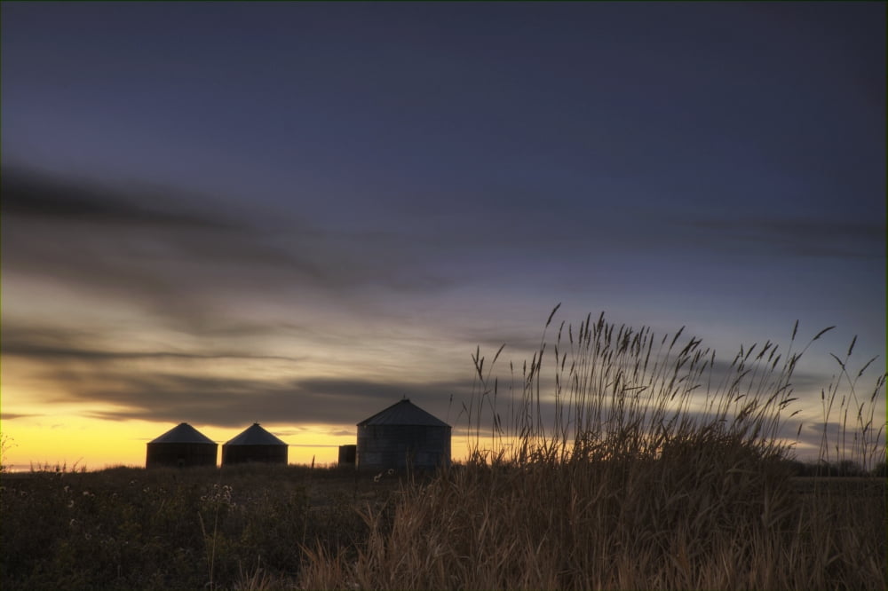 Sunset Silhouetting Grain Silos In Autumn Rural Alberta Canvas Art - Dan Jurak Design Pics (17 x 11)