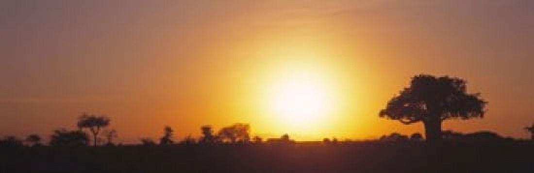 Sunset Tarangire Tanzania Africa Canvas Art - Panoramic Images (18 x 6)