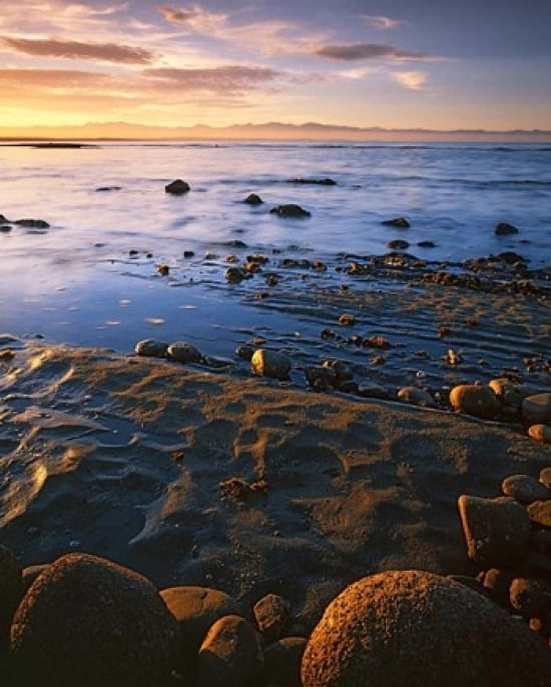 Sunset Tasman Bay South Island New Zealand Canvas Art - Charles Gurche DanitaDelimont (16 x 20)