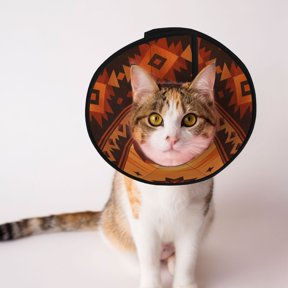 Sunset Terracotta Southwestern Soft Pet Recovery Collar for Cats Small Dogs, Protective Elizabeth Collar for Post-Surgery, Anti-Lick & Anti-Scratch