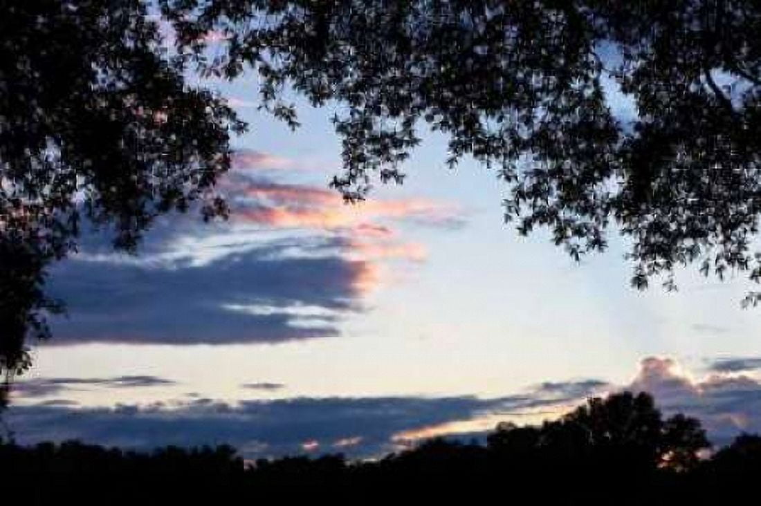 Sunset Through the Trees II Canvas Art - Alan Hausenflock (20 x 28)
