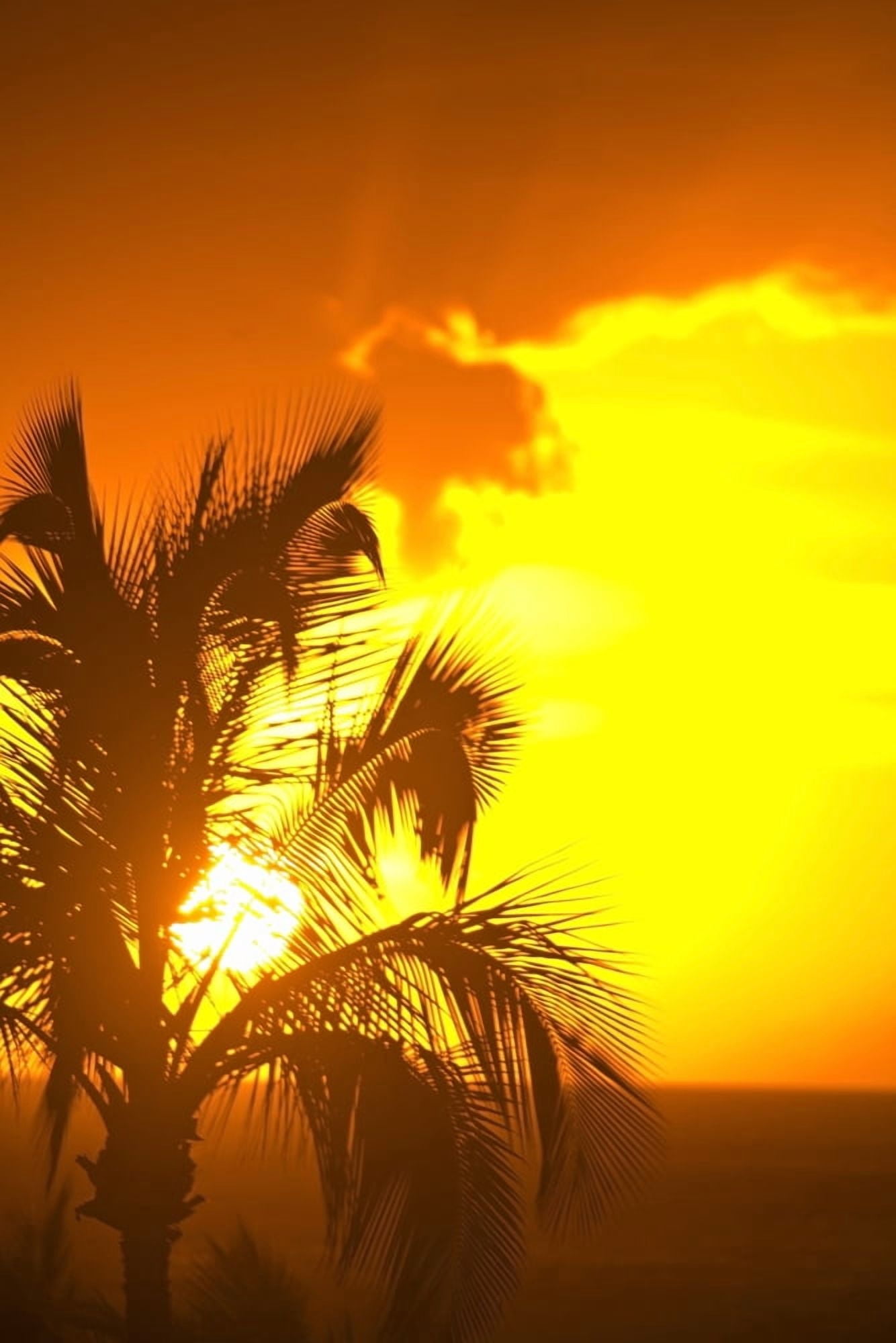Sunset Wailea Maui Hawaii Usa Canvas Art - Stuart Westmorland Design Pics (24 x 36)