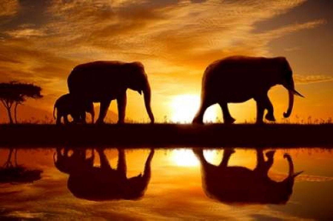 Sunset Walk Canvas Art - Noah Bay (12 x 18)
