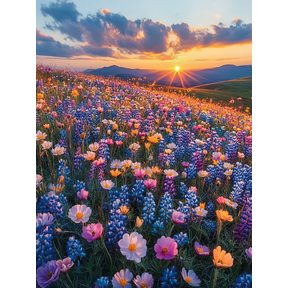 Sunset Wildflower Meadow Canvas Print/Wall Art Perfect for Living Room Bedroom Office Dining Room and Hallway Decoration