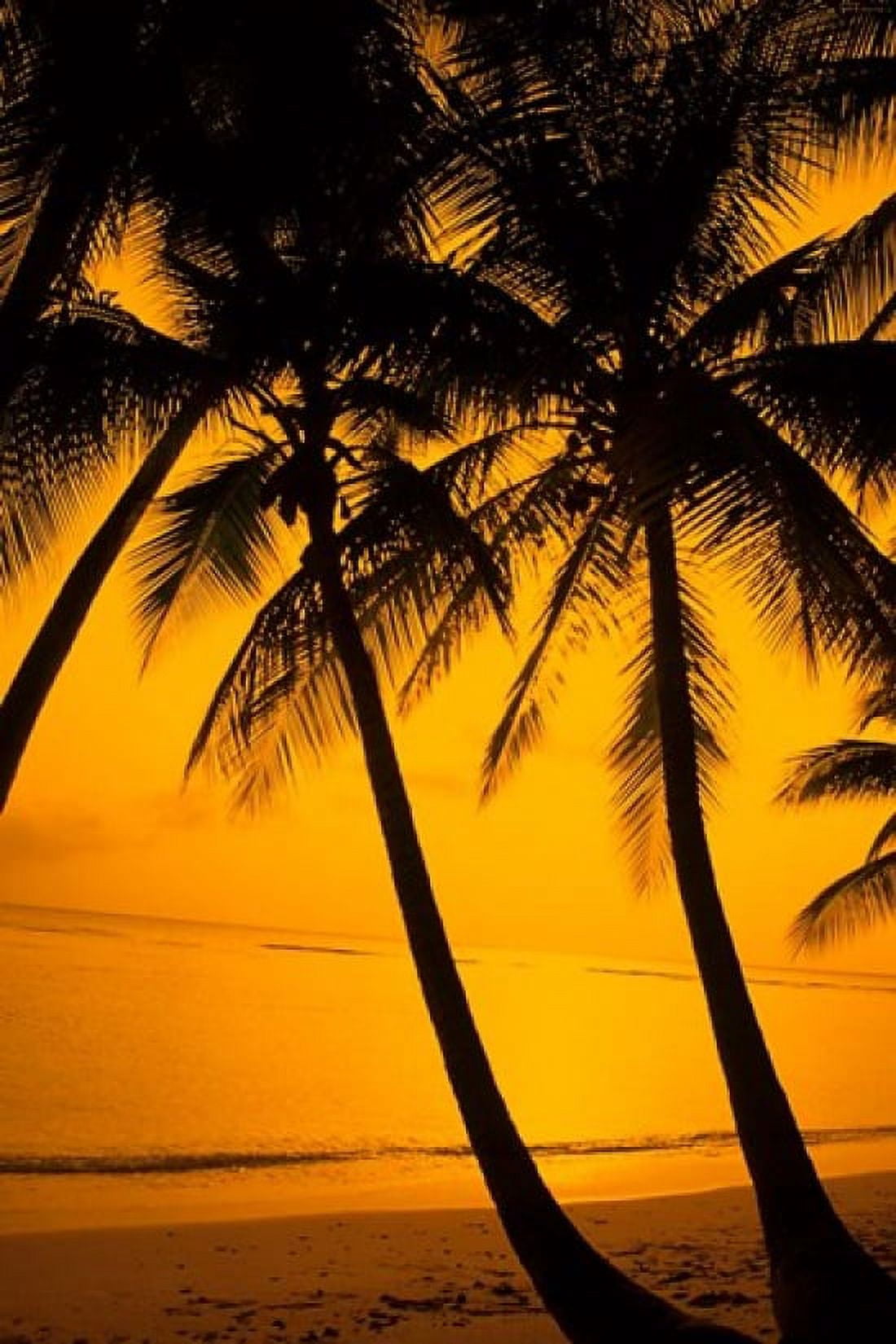Sunset and Palms San Juan Puerto Rico Canvas Art - Bill Bachmann DanitaDelimont (19 x 28)