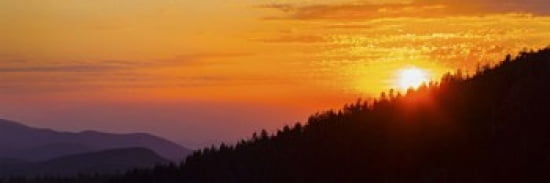 Sunset at Clingmans Dome Great Smoky Mountains National Park Tennessee USA Canvas Art - Panoramic Images (36 x 12)