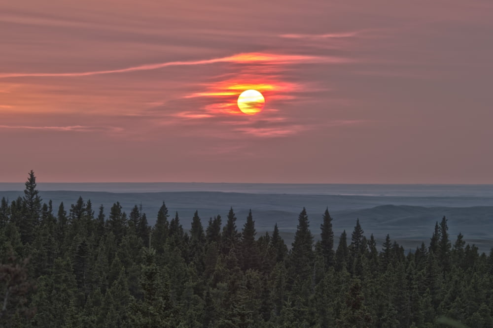 Sunset at Horseshoe Canyon Cypress Hills Interprovincial Park Alberta Canada Canvas Art - Alan DyerStocktrek Images (18 x 12)