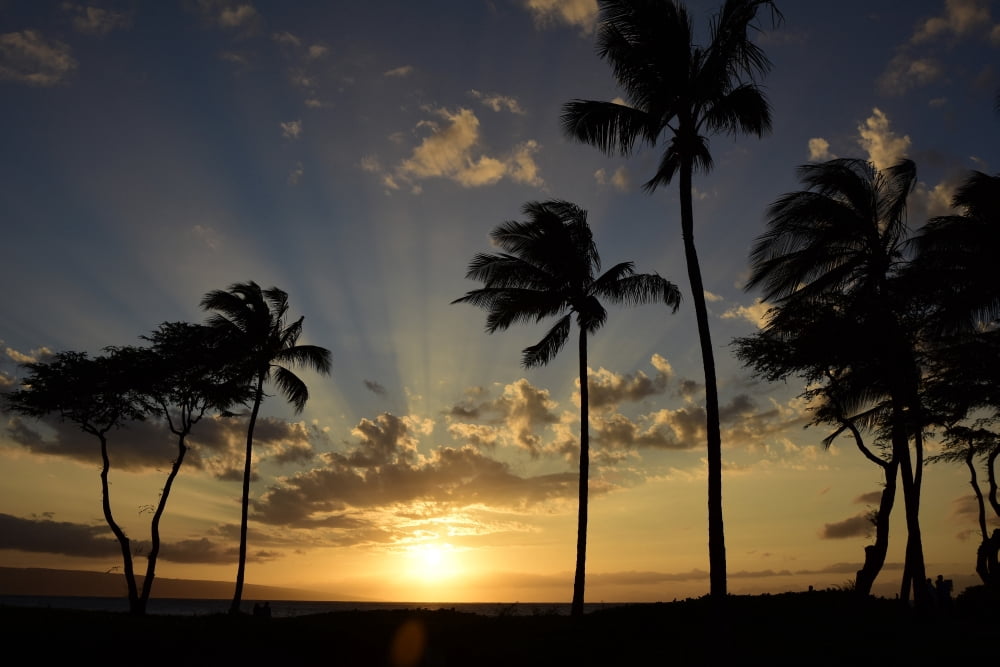Sunset at Kaanapali Beach in Maui Hawaii Canvas Art - Ryan RossottoStocktrek Images (35 x 24)