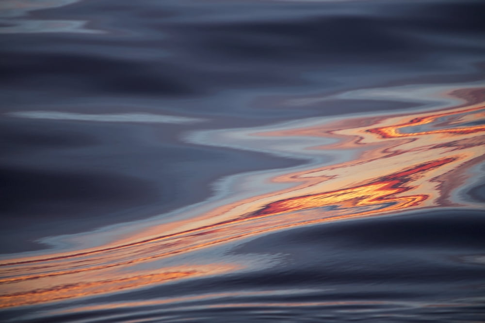 Sunset during late summer on west coast Greenland Canvas Art - Toby Adamson  Design Pics (19 x 12)