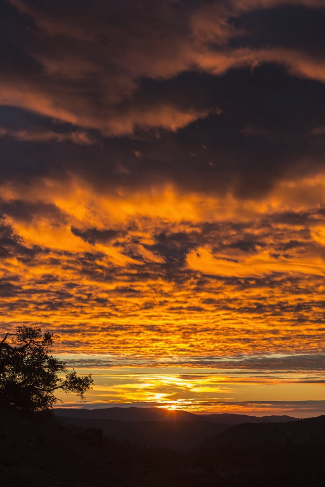 Sunset from Turtleback Dome Yosemite National Park California United States of America Canvas Art - Tracy Barbutes Design Pics (24 x 38)