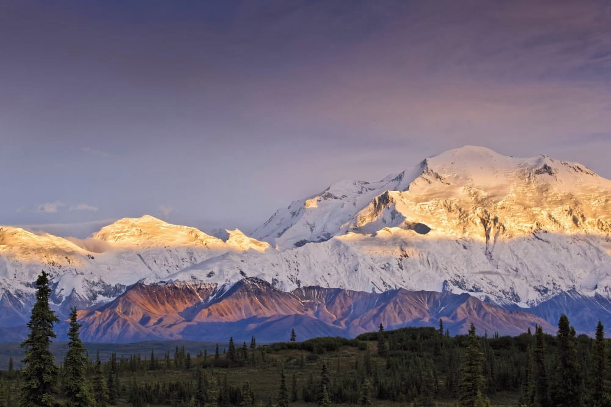Sunset glow on Mt McKinley Denali National Park & Preserve Interior Alaska Summer Canvas Art - Sunny Awazuhara- Reed Design Pics (38 x 24)