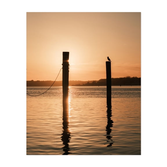 Sunset in Belmar - Belmar New Jersey Photography Sunset Silhouette Seascape Bird Minimalist Water Nature Unframed Wall Art Print 36 x 48 inches