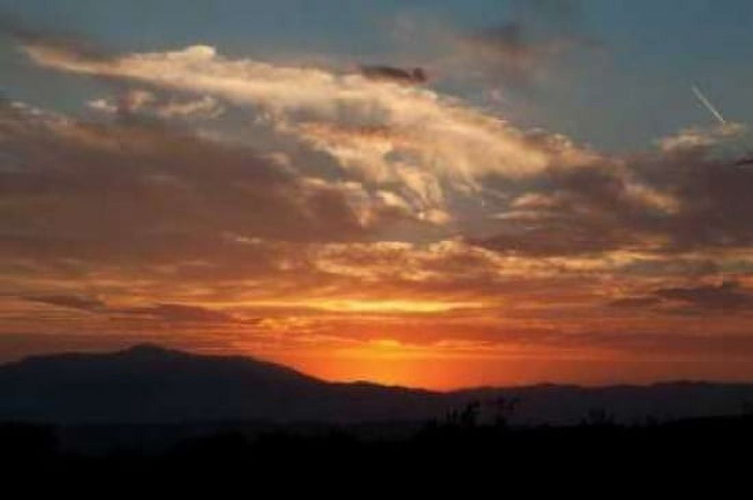 Sunset in Joshua Tree I Canvas Art - Erin Berzel (20 x 28)
