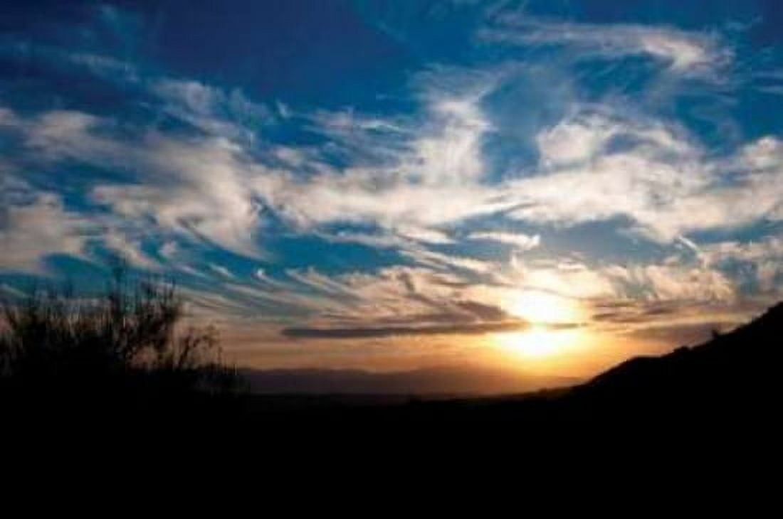 Sunset in Joshua Tree I Canvas Art - Erin Berzel (20 x 28)