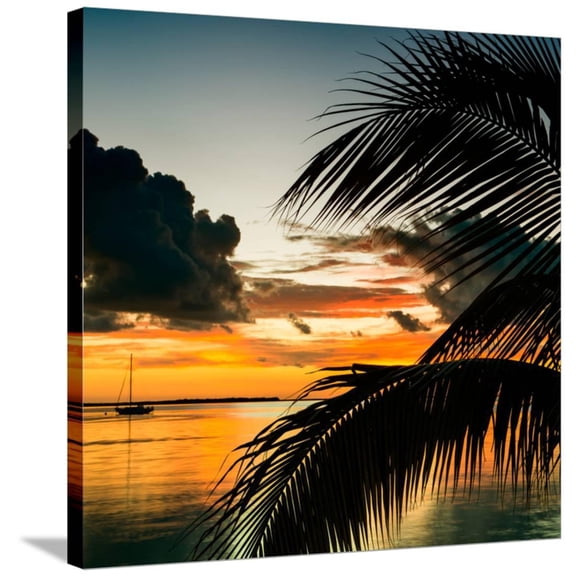 Sunset in Paradise  Florida, Scenic Stretched Canvas Wall Art by Philippe Hugonnard Sold by ArtCom