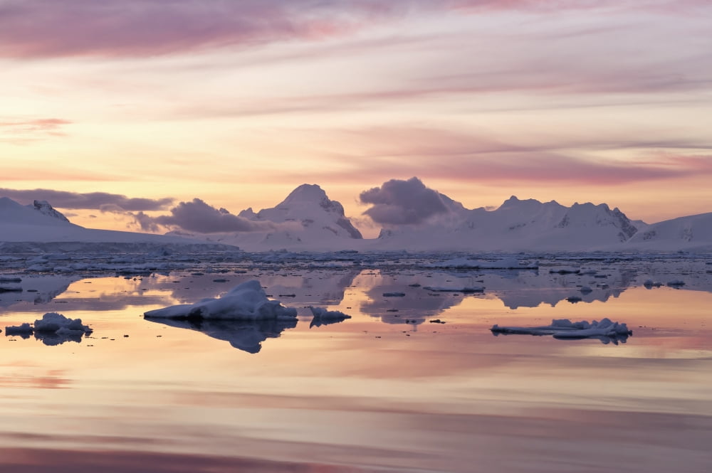 Sunset in the Gerlache Strait reflected in water Antarctic Peninsula Canvas Art - Daisy Gilardini Design Pics (19 x 12)