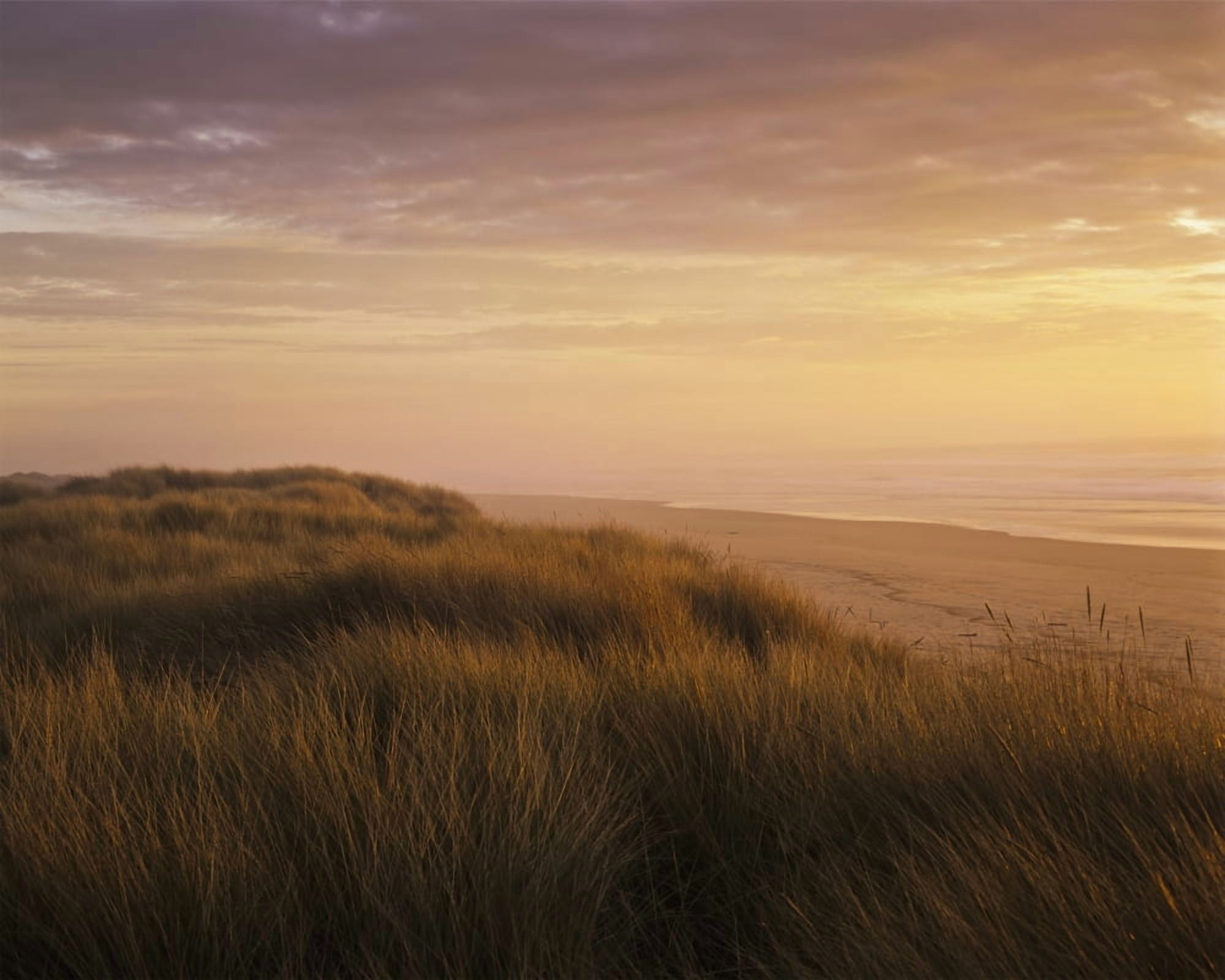 Sunset light bathes Umpqua Beach Winchester Bay Oregon United States of America Canvas Art - Robert L Potts Design Pics (17 x 13)
