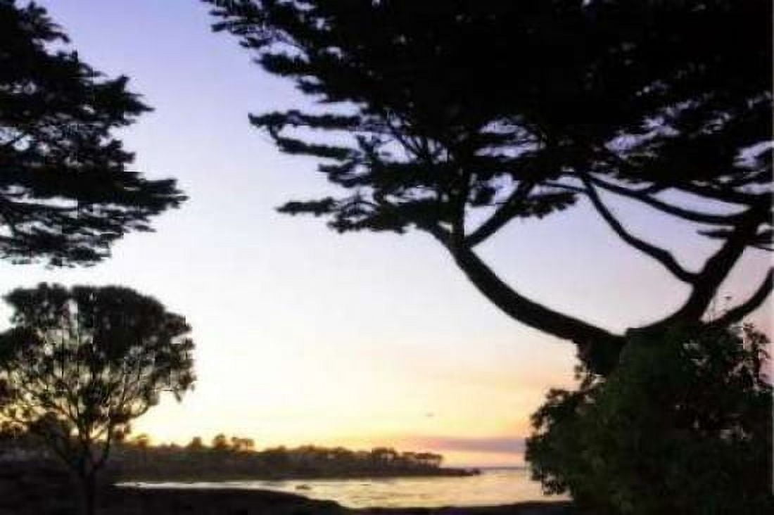 Sunset on Pacific Grove Canvas Art - Alan Hausenflock (24 x 36)