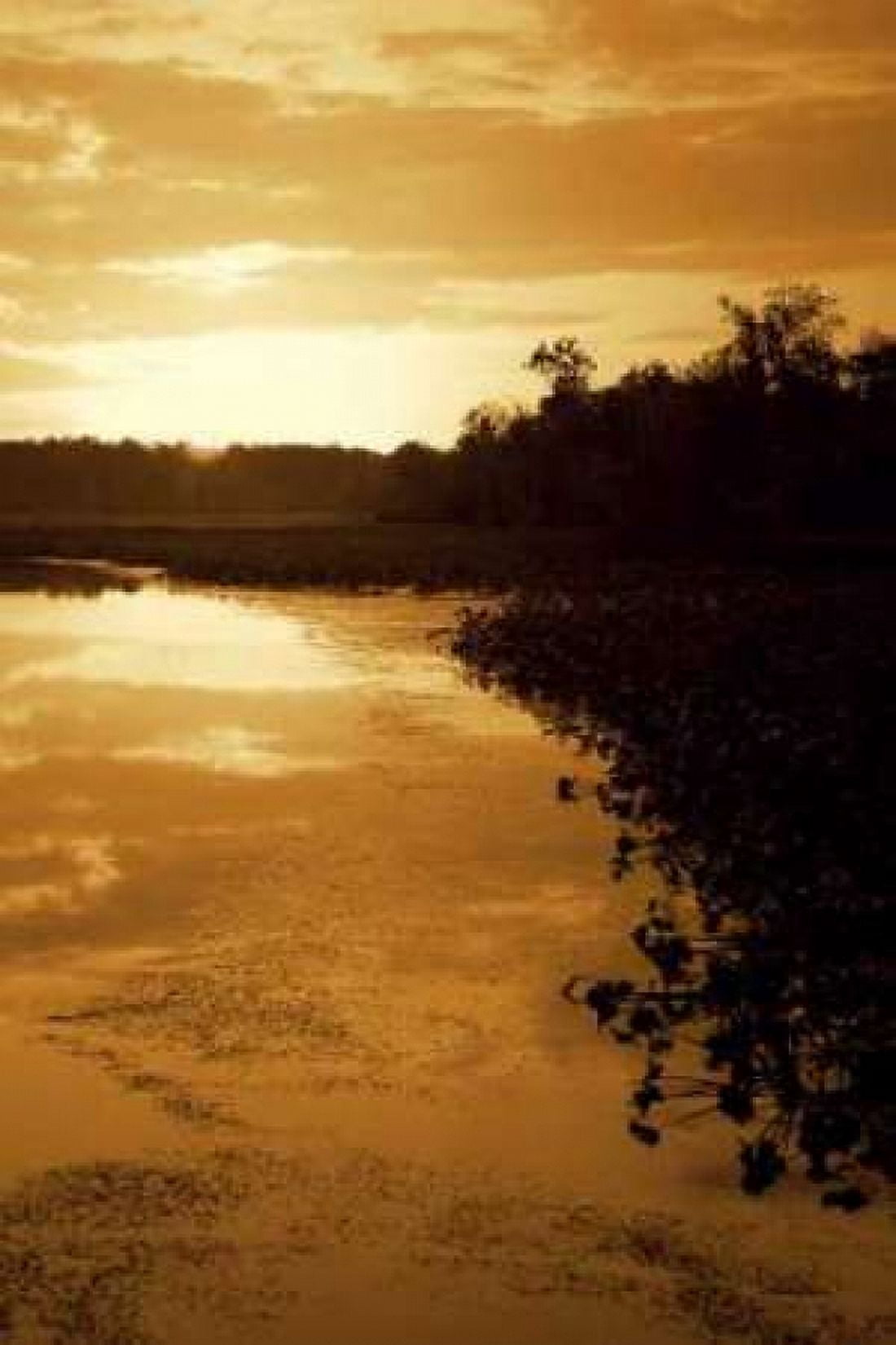Sunset on the Lake II Canvas Art - Alan Hausenflock (24 x 36)