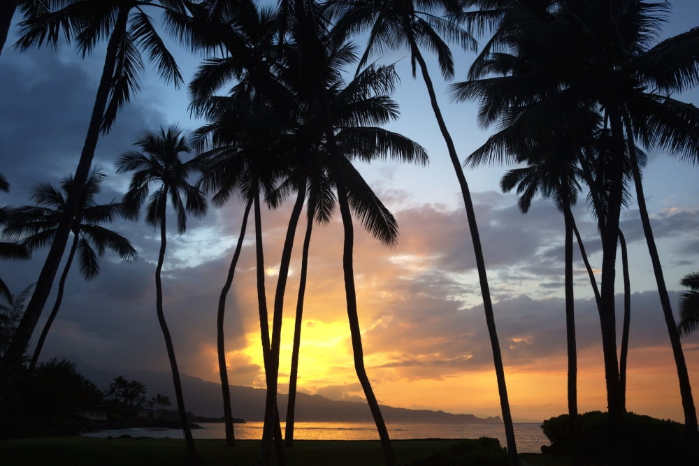 Sunset on the north shore of Maui Spreckelsville Maui Hawaii United States of America Canvas Art - Ron Dahlquist Design Pics (38 x 24)