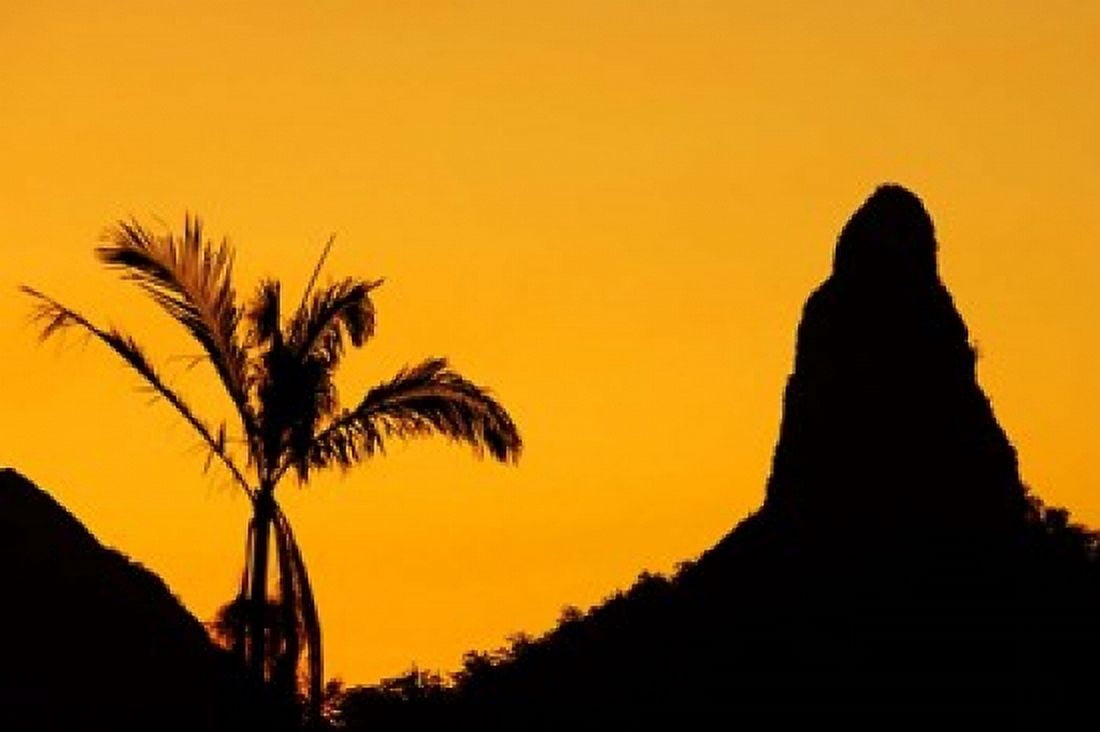 Sunset over Glass House Mountains Sunshine Coast Queensland Australia Canvas Art - David Wall DanitaDelimont (26 x 17)