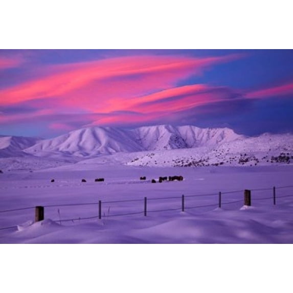 Sunset over Hawkdun Range and farmland, Maniototo, Otago, New Zealand Poster Print by David Wall (36 x 24)