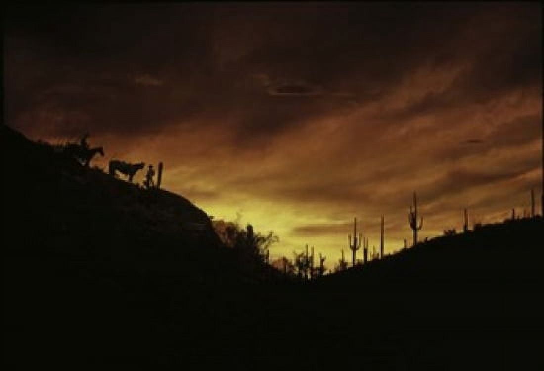 Sunset over The Sonoran Desert AZ Canvas Art - Panoramic Images (18 x 12)