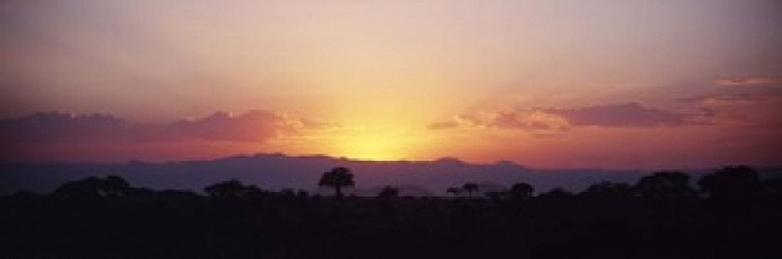 Sunset over a landscape Tarangire National Park Tanzania Canvas Art - Panoramic Images (18 x 6)