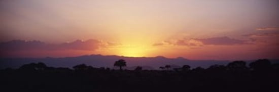 Sunset over a landscape Tarangire National Park Tanzania Canvas Art - Panoramic Images (36 x 12)