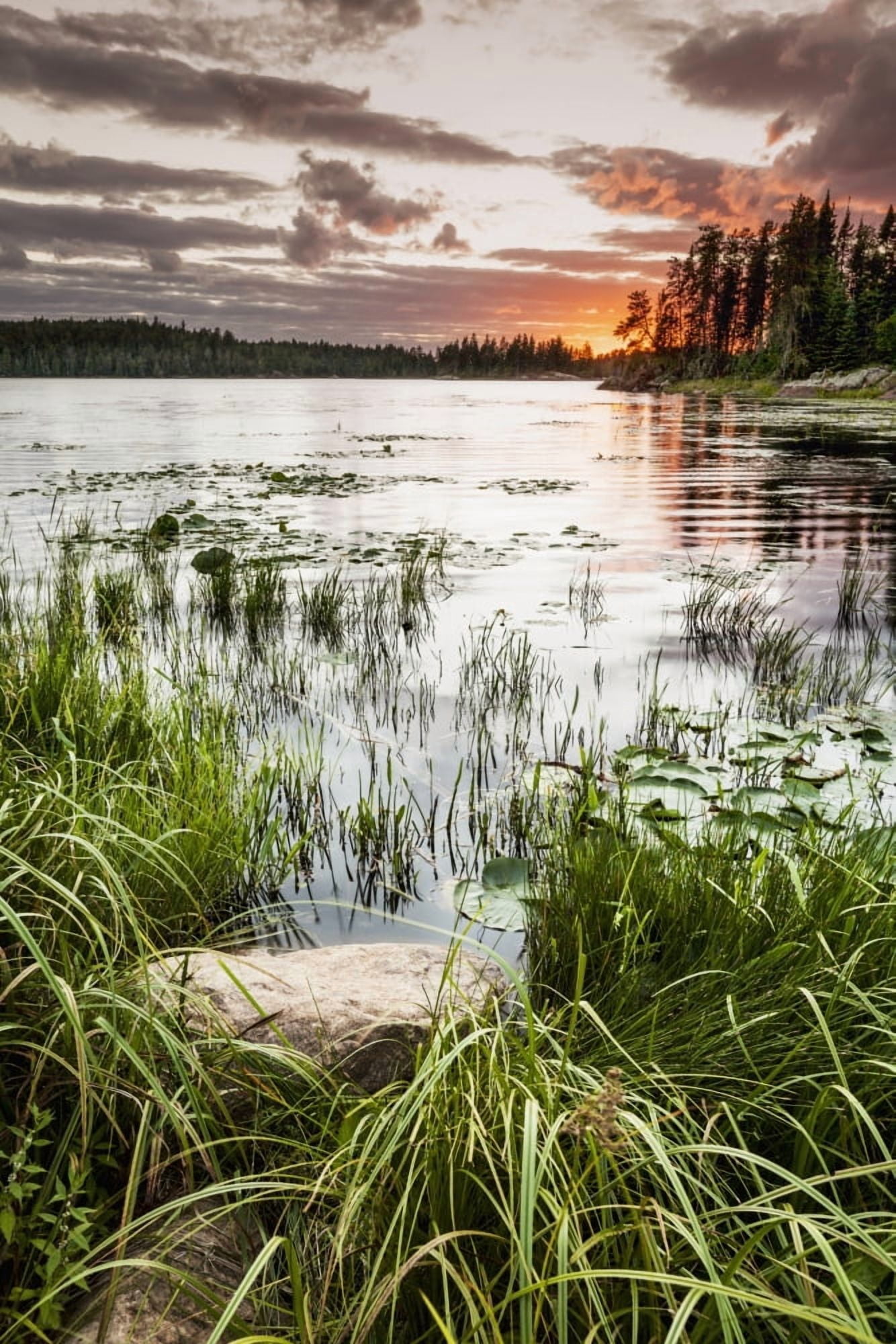 Sunset over a pond Thunder Bay Ontario Canada Canvas Art - Susan Dykstra Design Pics (12 x 19)