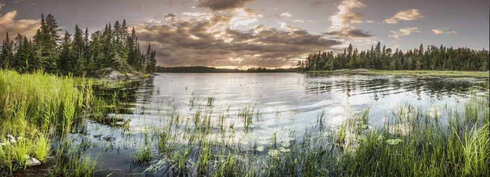 Sunset over a pond Thunder Bay Ontario Canada Canvas Art - Susan Dykstra Design Pics (36 x 13)