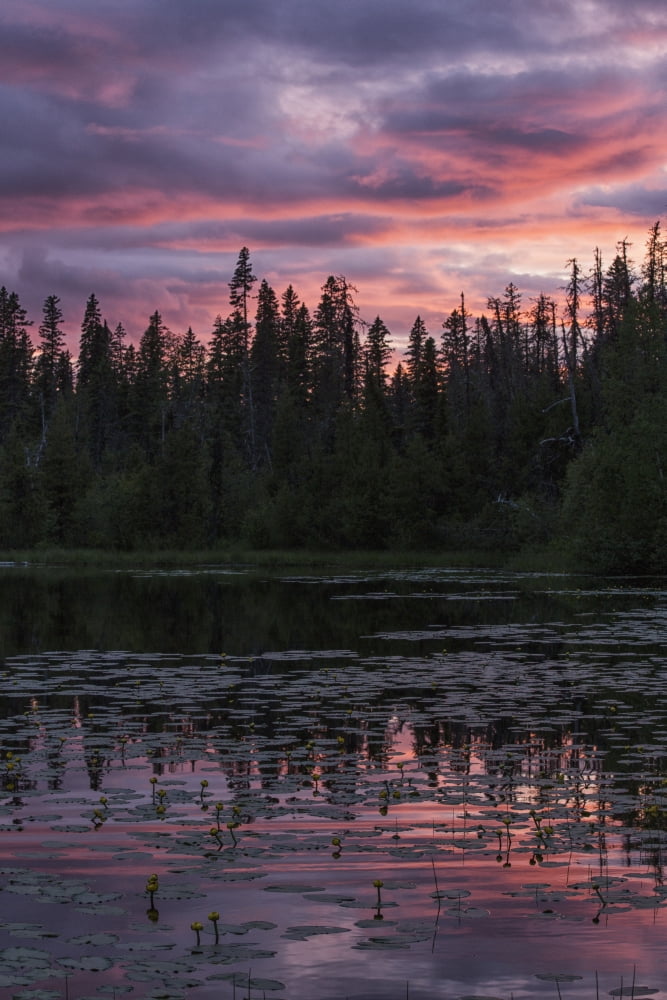 Sunset over a small beaver pond along the Yellowhead Highway near Smithers British Columbia Canada Canvas Art - Robert Postma Design Pics (12 x 19)